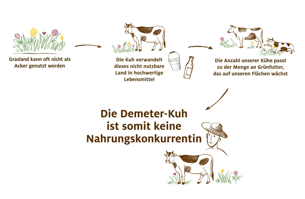 Kreislauf
